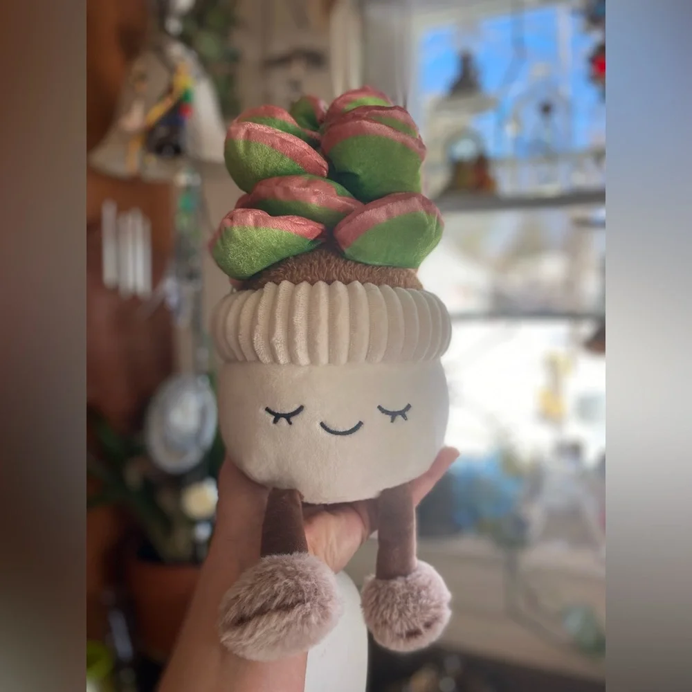 Sleepy Cozy Potted Succulent Plush CUTIE Decor PLANT LOVERS 🏜️🪷